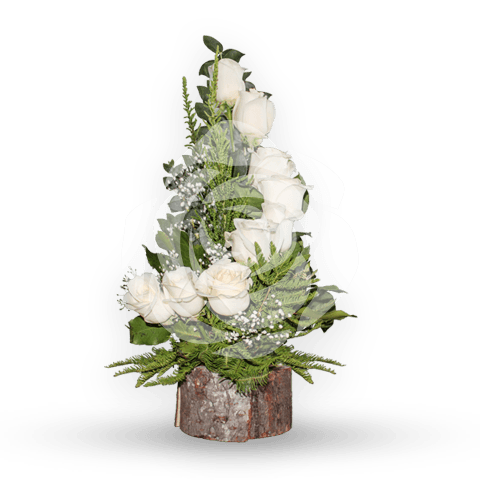 Espiral 8 rosas Blancas - Imagen 1