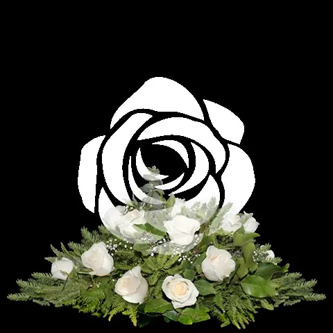 Cubre Urna 15 Rosas