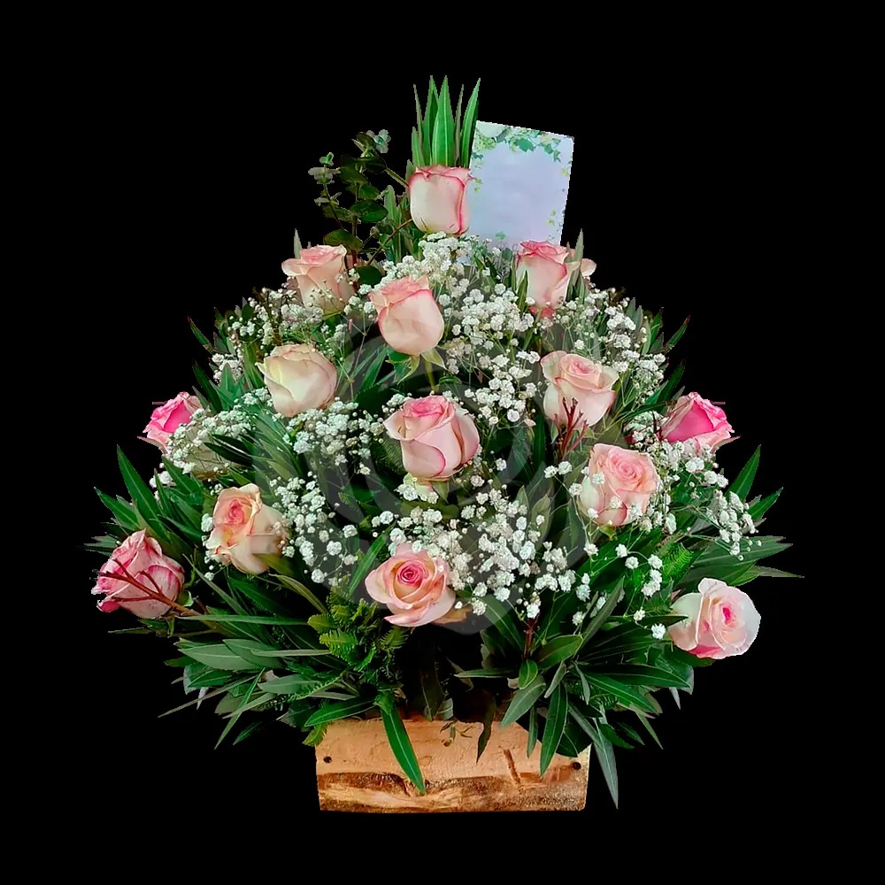 Pie 15 Rosas rosadas