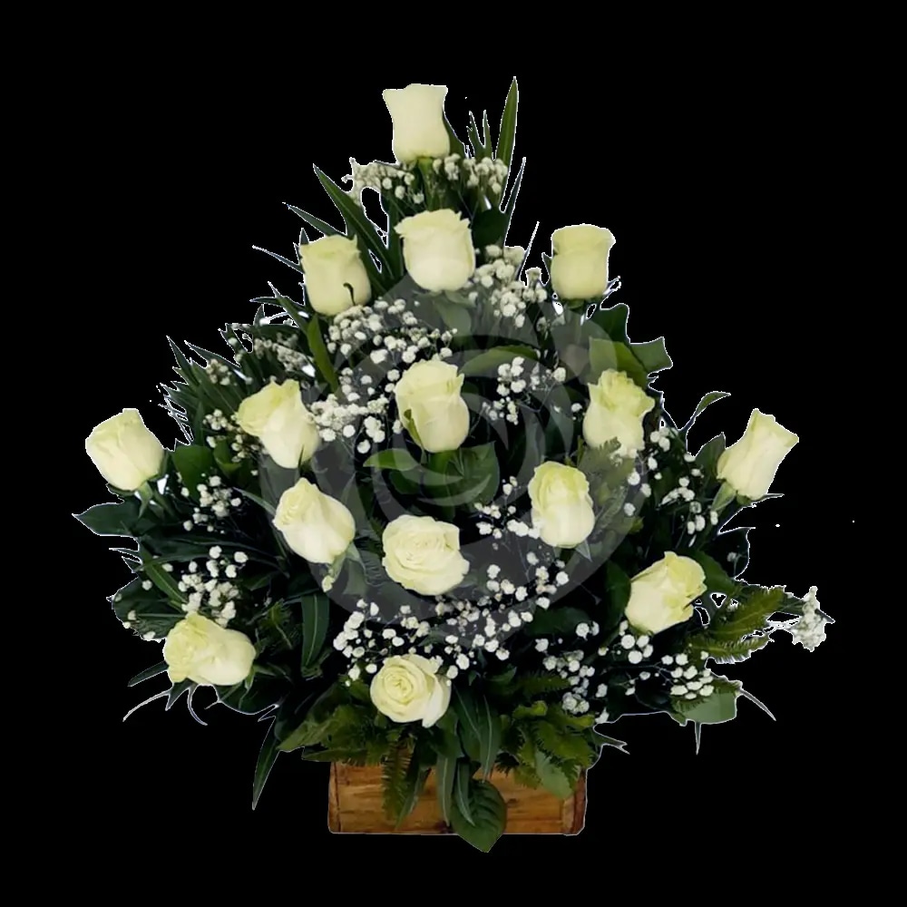 Pie 15 rosas Blancas