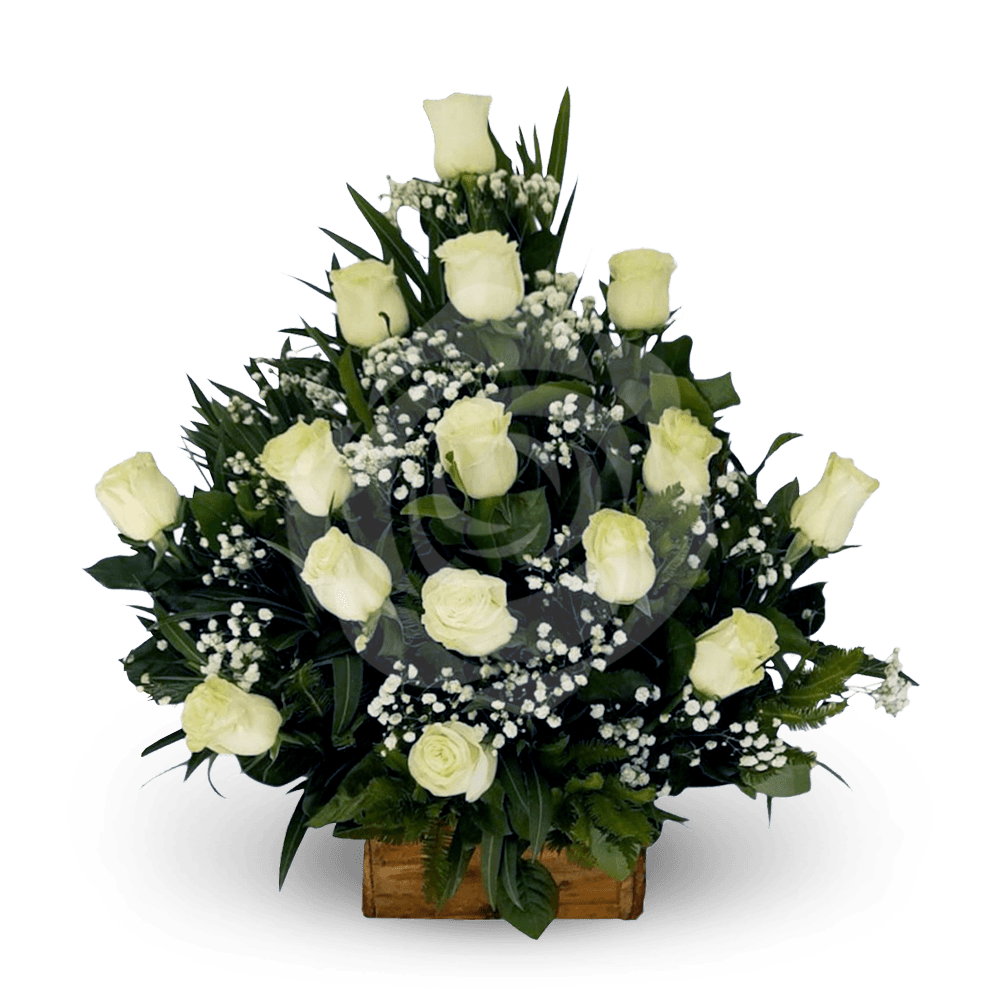 Pie 15 rosas Blancas - Imagen 1