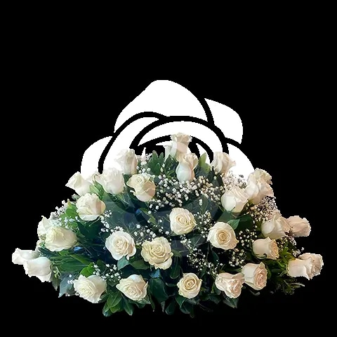 Cubre urna de 25 rosas blancas
