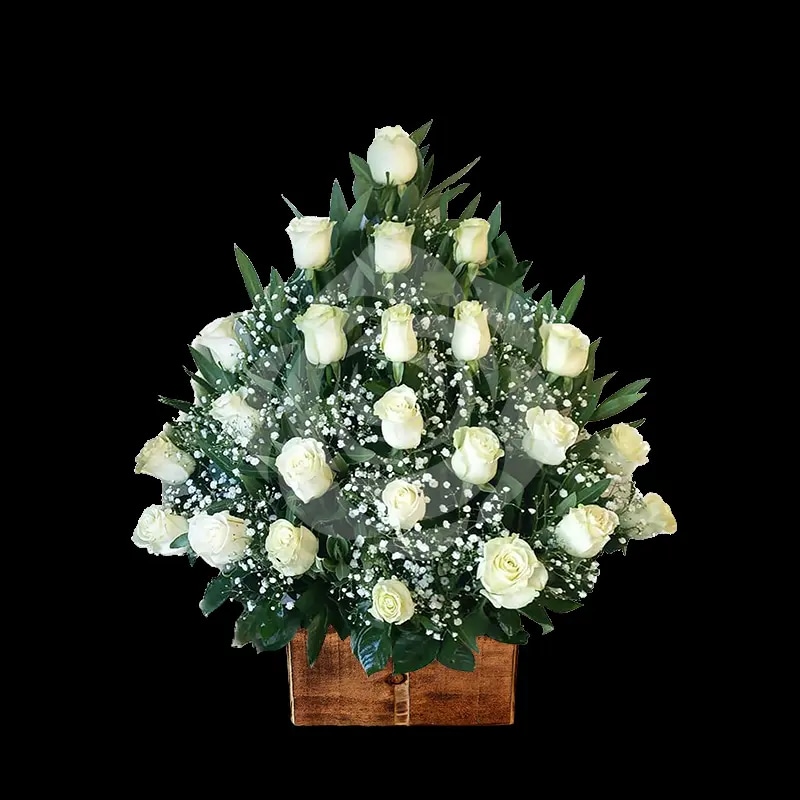 Pie de 24 rosas blancas