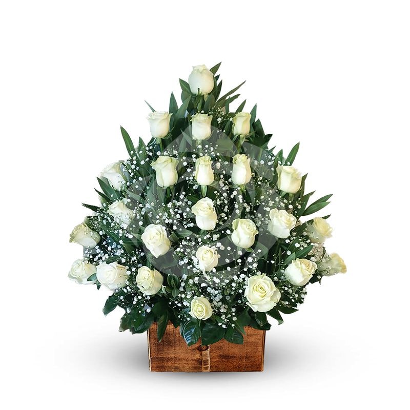Pie de 24 rosas blancas - Imagen 1