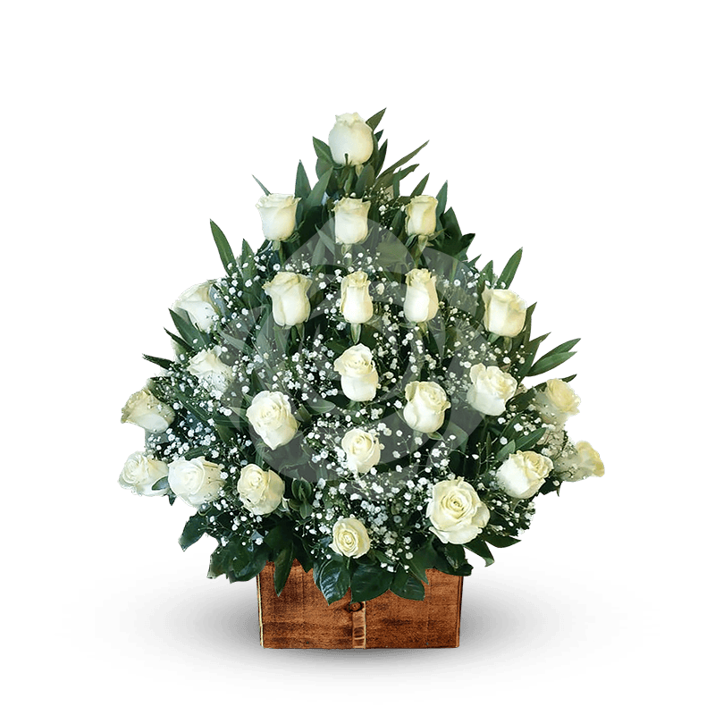 Pie de 24 rosas blancas - Imagen 1