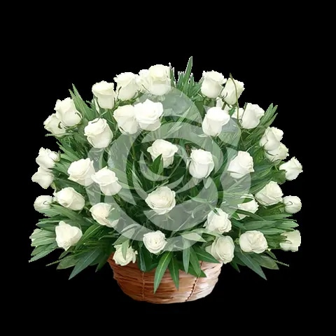 Elegante canasta de 50 rosas Blancas