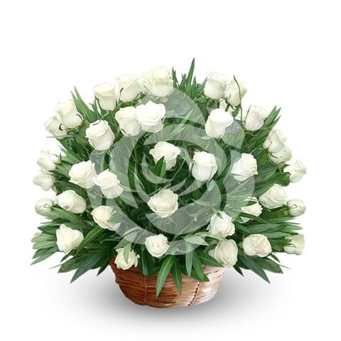 Elegante canasta de 50 rosas Blancas - Imagen 1