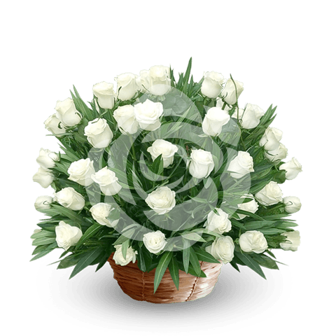 Elegante canasta de 50 rosas Blancas - Imagen 1