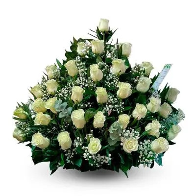 Pie de 36 rosas