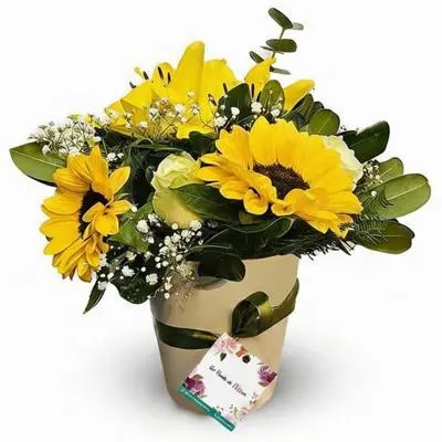 Alegria para ti con Girasoles