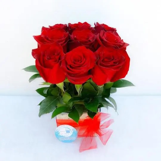 CUBO DE 9 ROSAS ROJAS