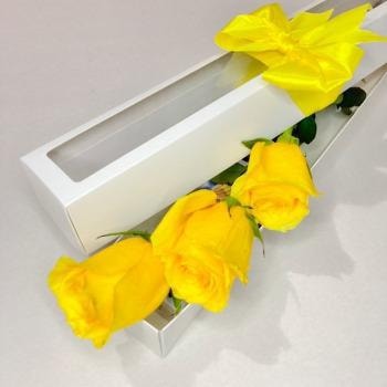 CAJA DE 3 ROSAS AMARILLAS - Imagen 1