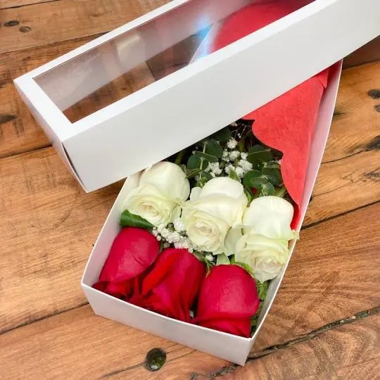 CAJA DE 6 ROSAS BICOLOR