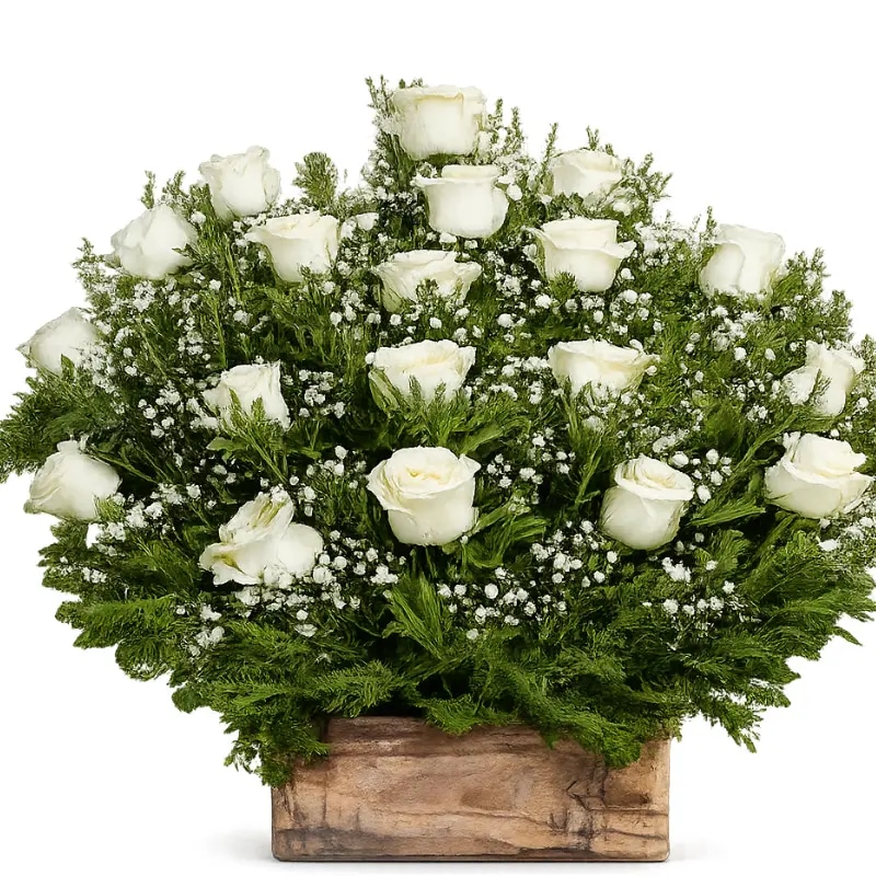 Arrimo de 20 rosas ecuatorianas