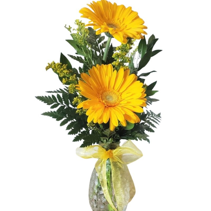 Florero 2 gerberas - Imagen 1