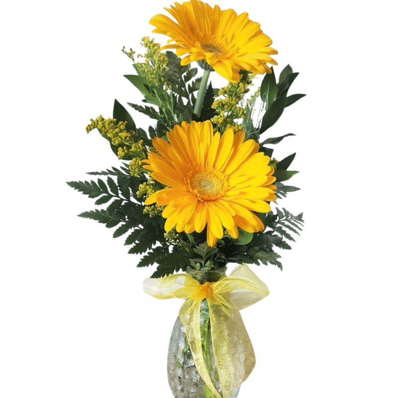 Florero 2 gerberas - Imagen 1