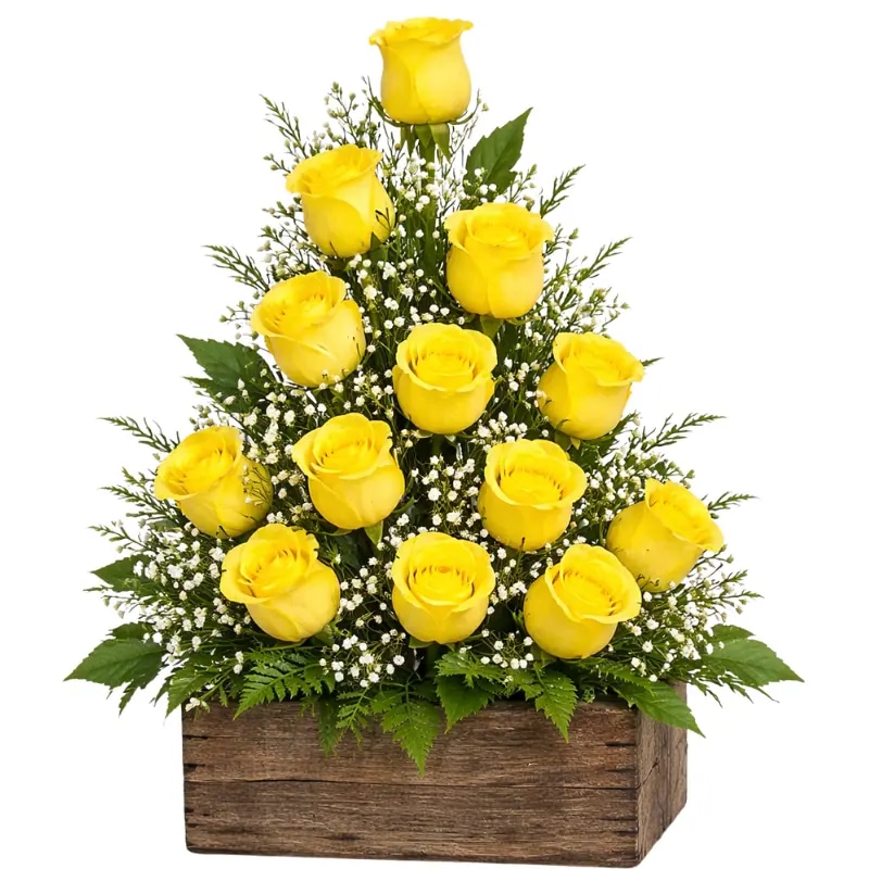 Base con 12 rosas