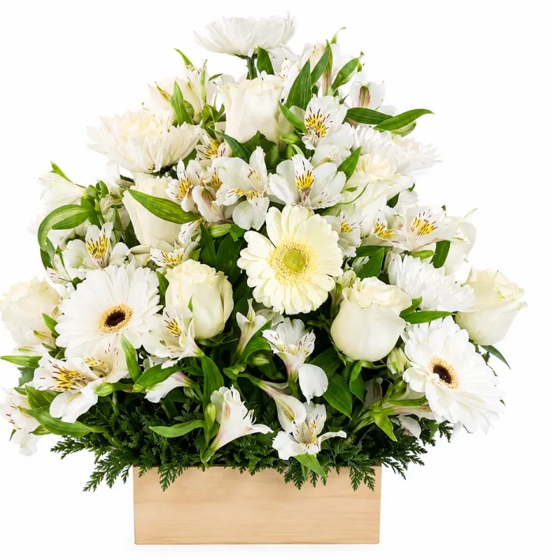 Base 8 rosas 4 gerberas y follaje