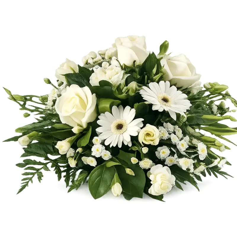 Plato funebre 5 rosas 3 gerberas