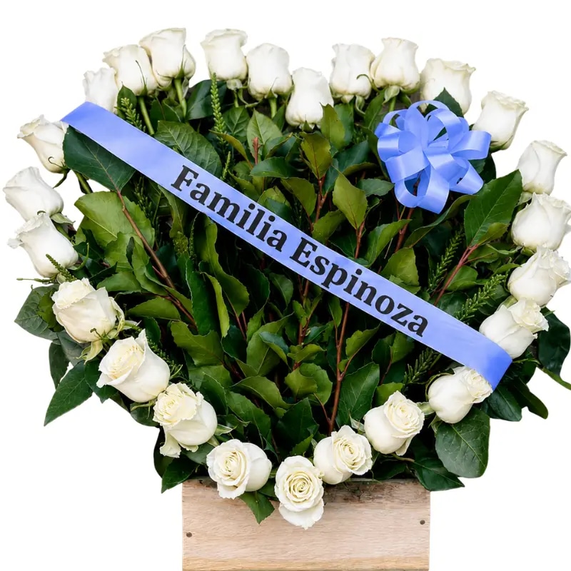 Arreglo en forma de corazion 25 rosas y cinta
