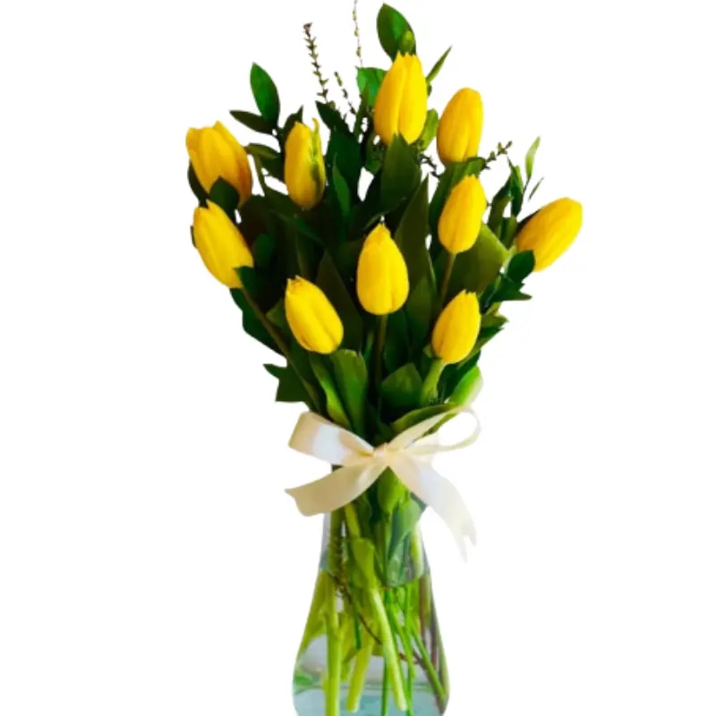 Florero 10 tulipanes