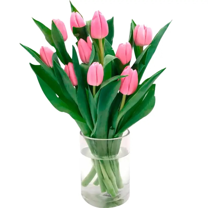 Florero 10 tulipanes