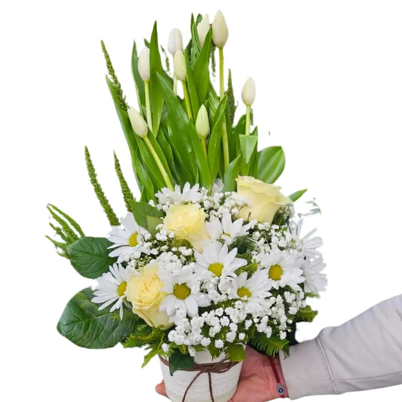 Arreglo 10 tulipanes 3 rosas