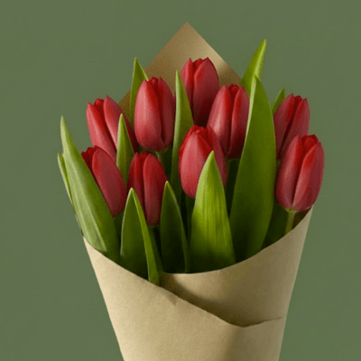 Tulipanes Premium - Imagen 6