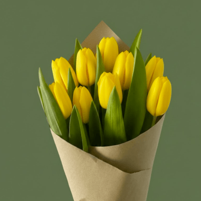 Tulipanes Premium - Imagen 2