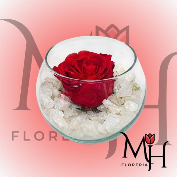 Pecera con rosa roja preservada - Imagen 1