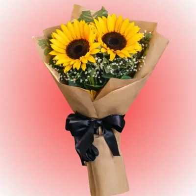 Ramo 2 girasoles tus flores amarilla
