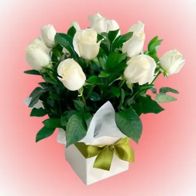 Box cuadrado disperso 12 rosas