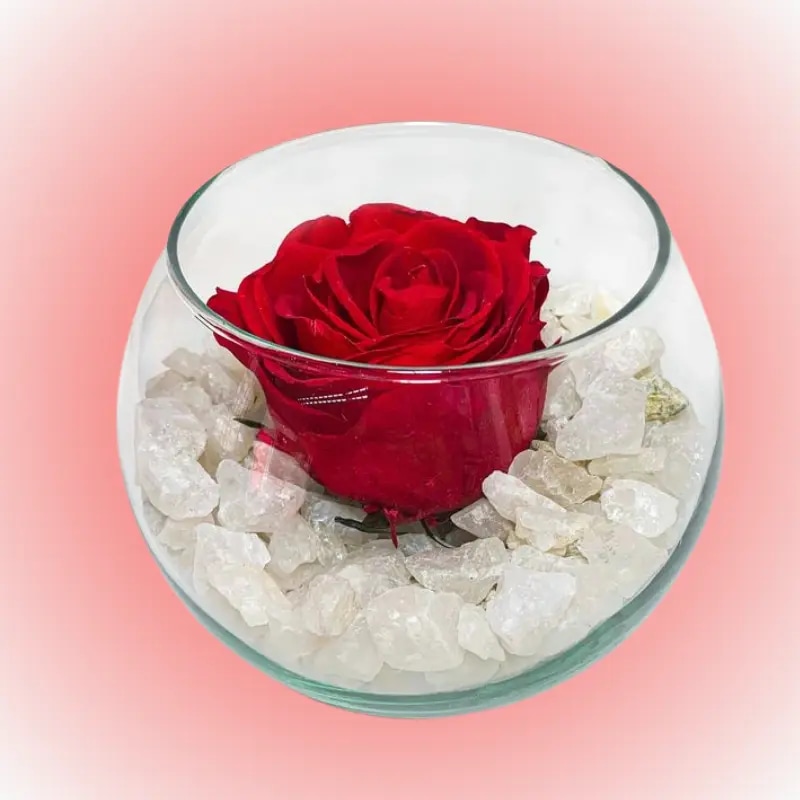 Lindo detalle eterno pecera con piedras y rosa preservada