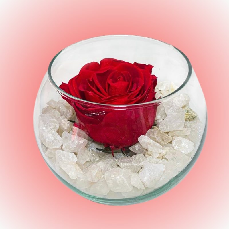 Lindo detalle eterno pecera con piedras y rosa preservada - Imagen 1