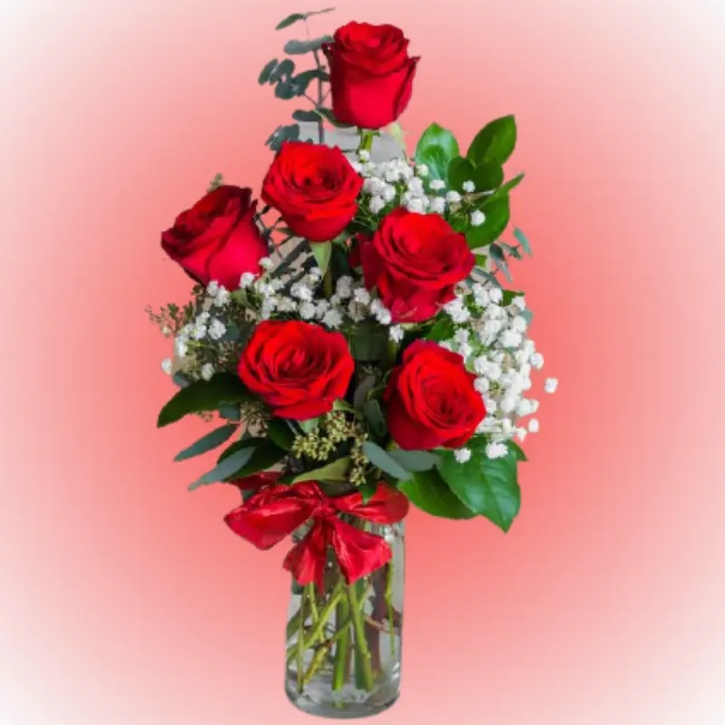Cilindro 6 rosas