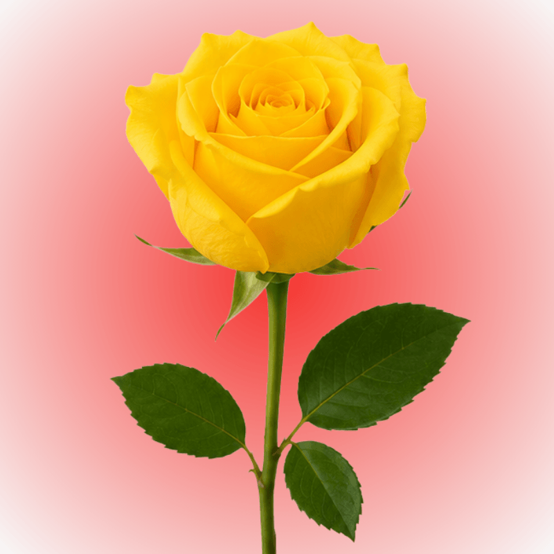Rosa individual para adicionar - Imagen 1
