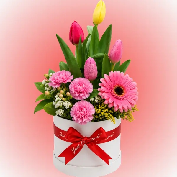 Box de 4 tulipanes, 3 claveles y 1 gerbera
