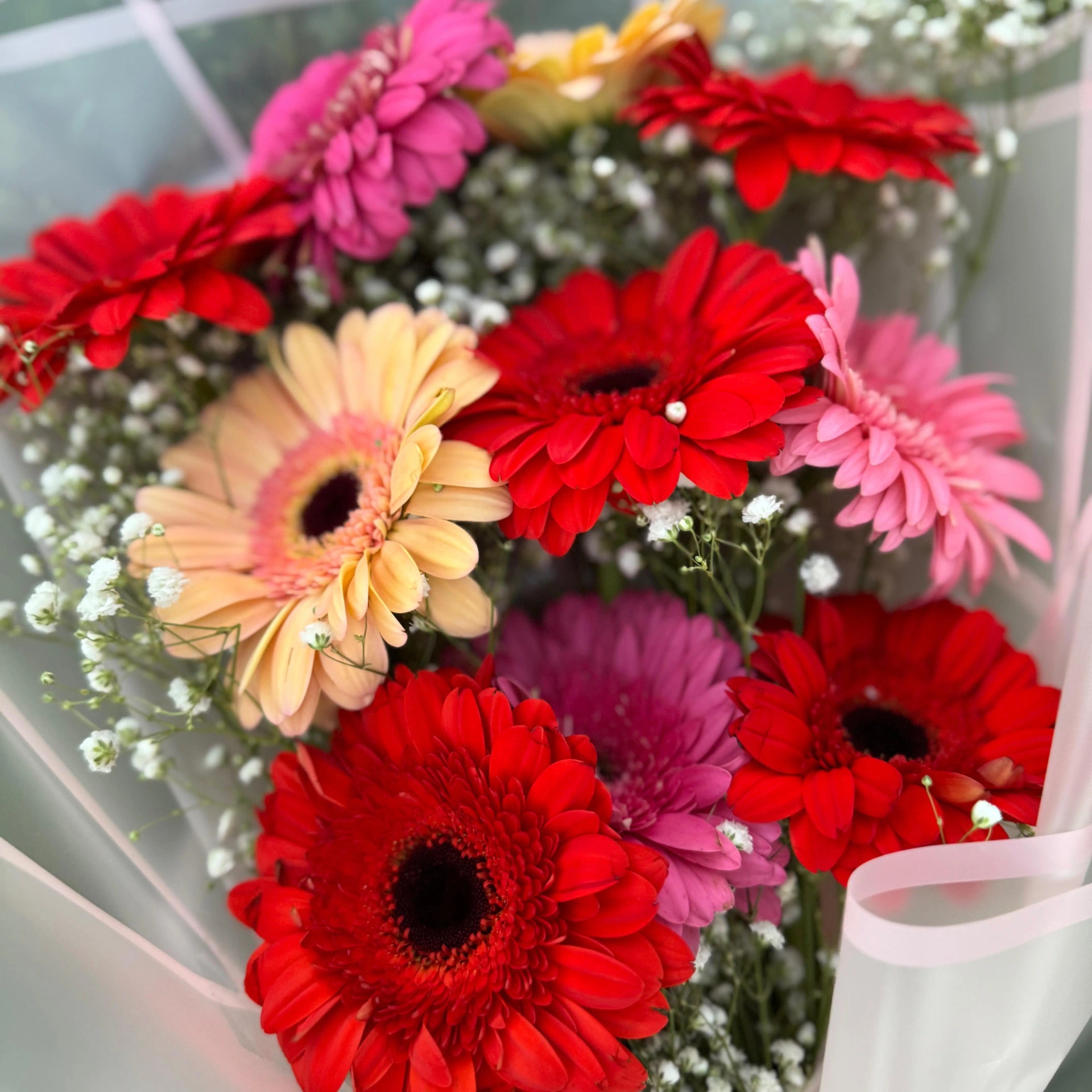 Ramo de Gerberas variadas