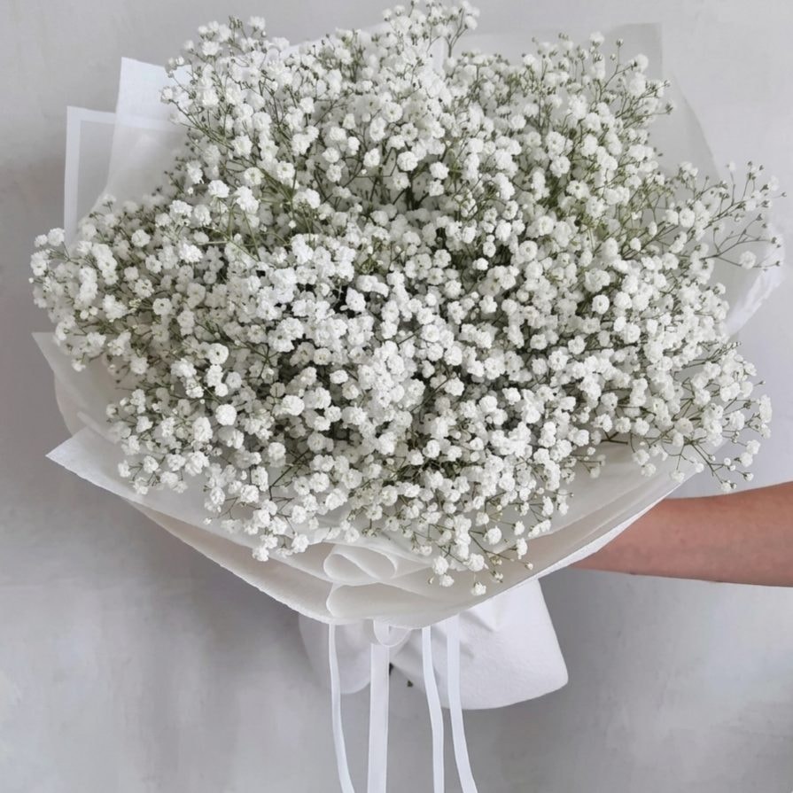 Ramo de gypsophilia - Imagen 1