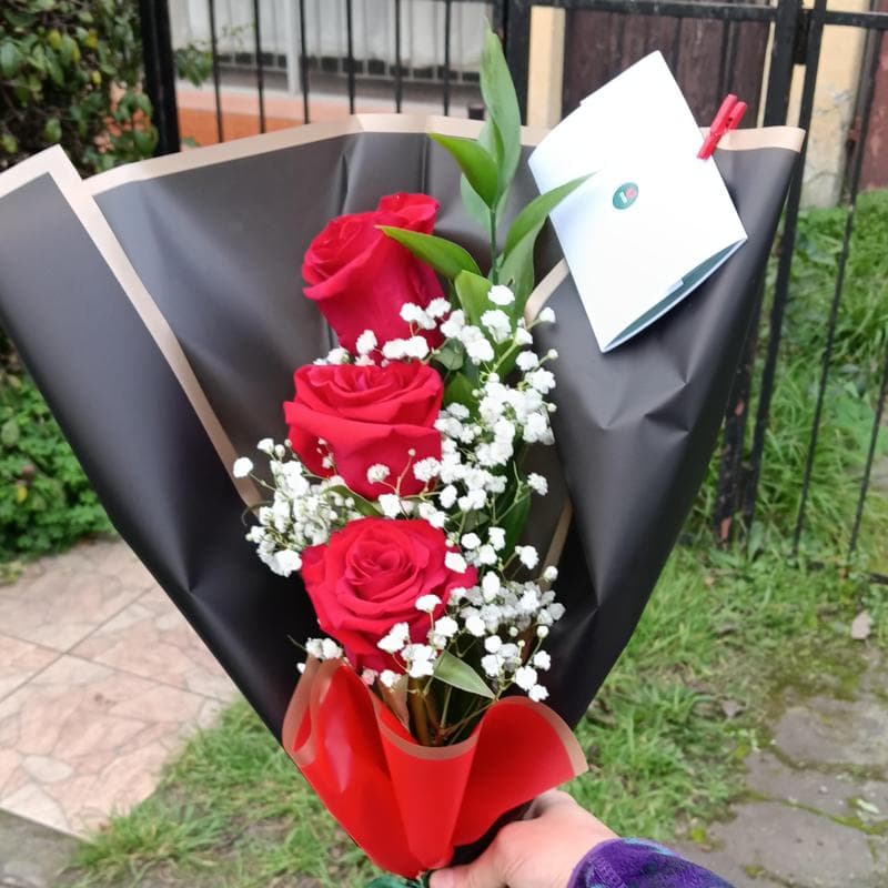 Pedido 45567