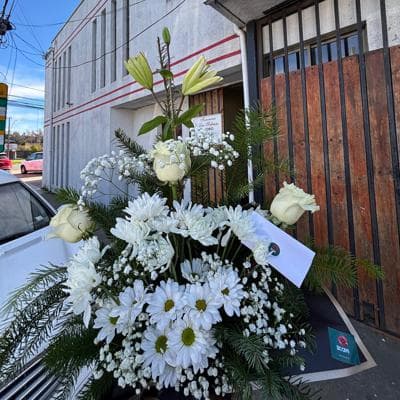Arreglo condolencias