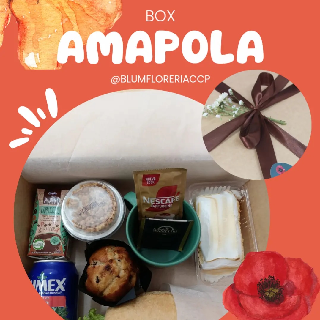 Desayuno-Box Amapola