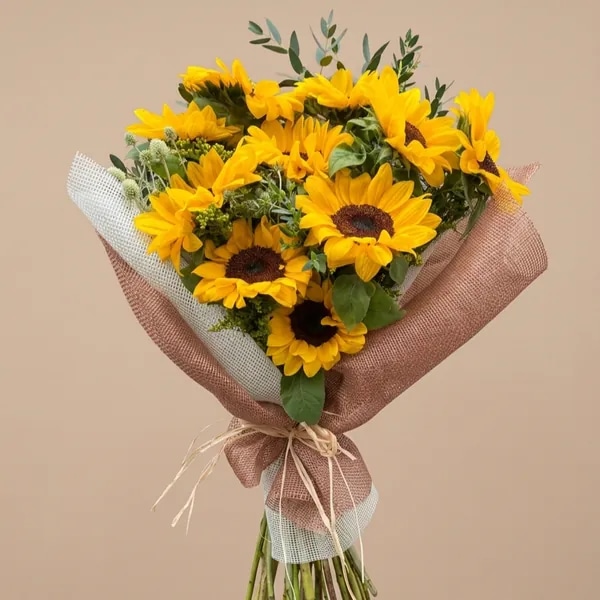 Intenso Girasol