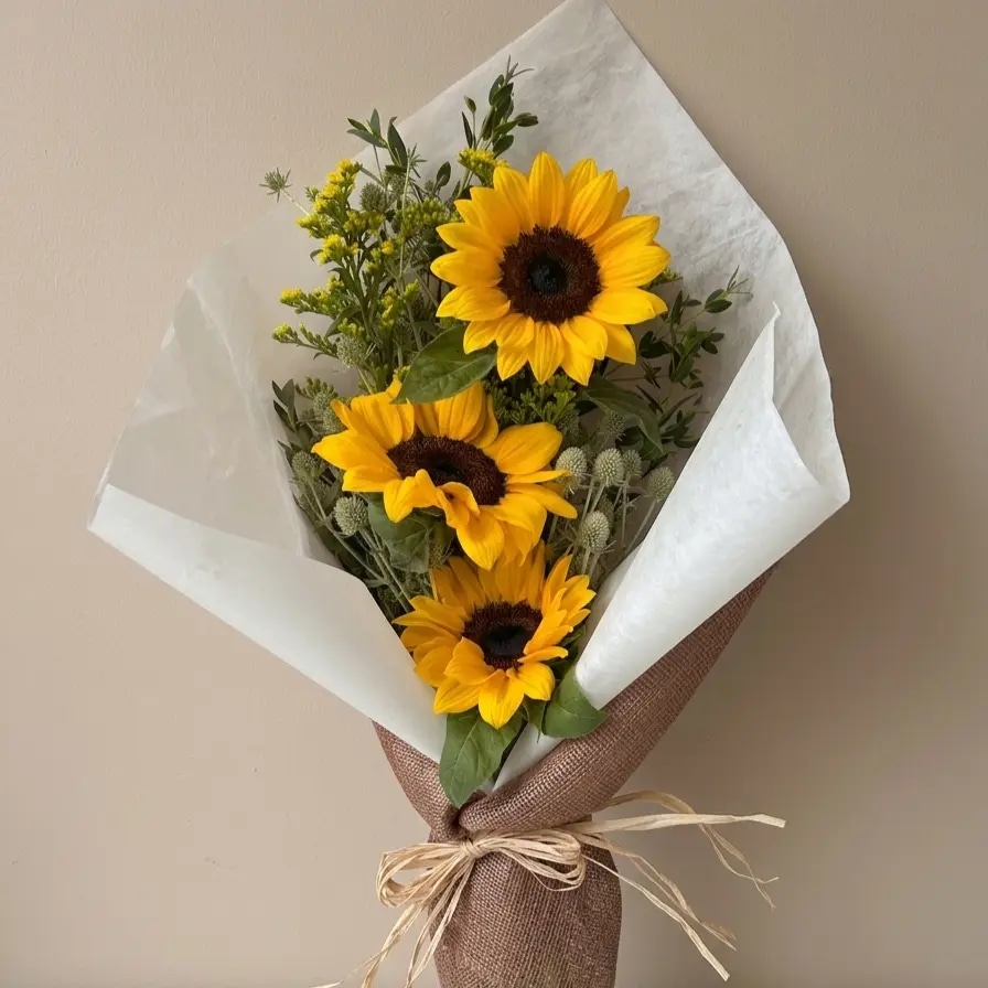 Trio Girasol