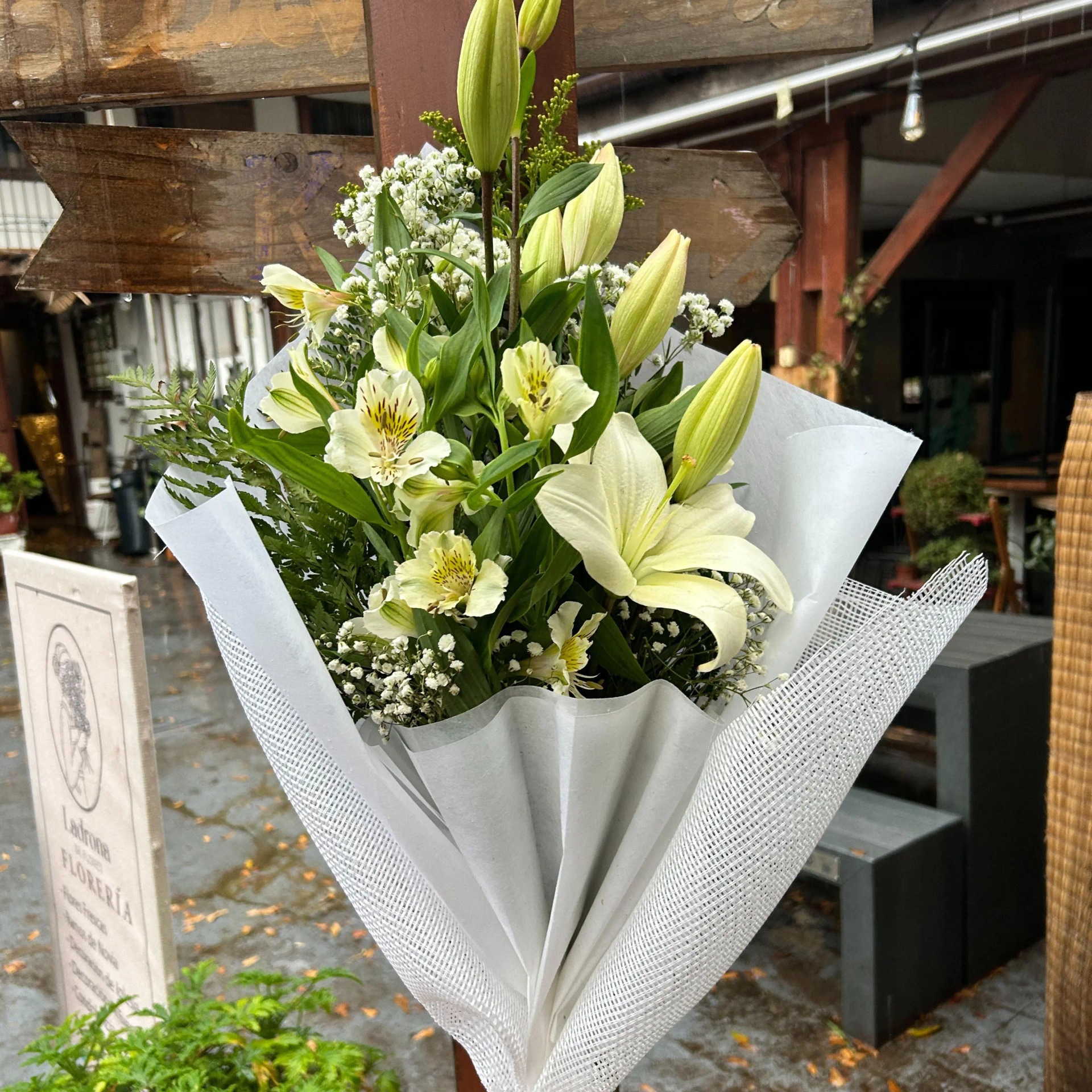 Simple lilium