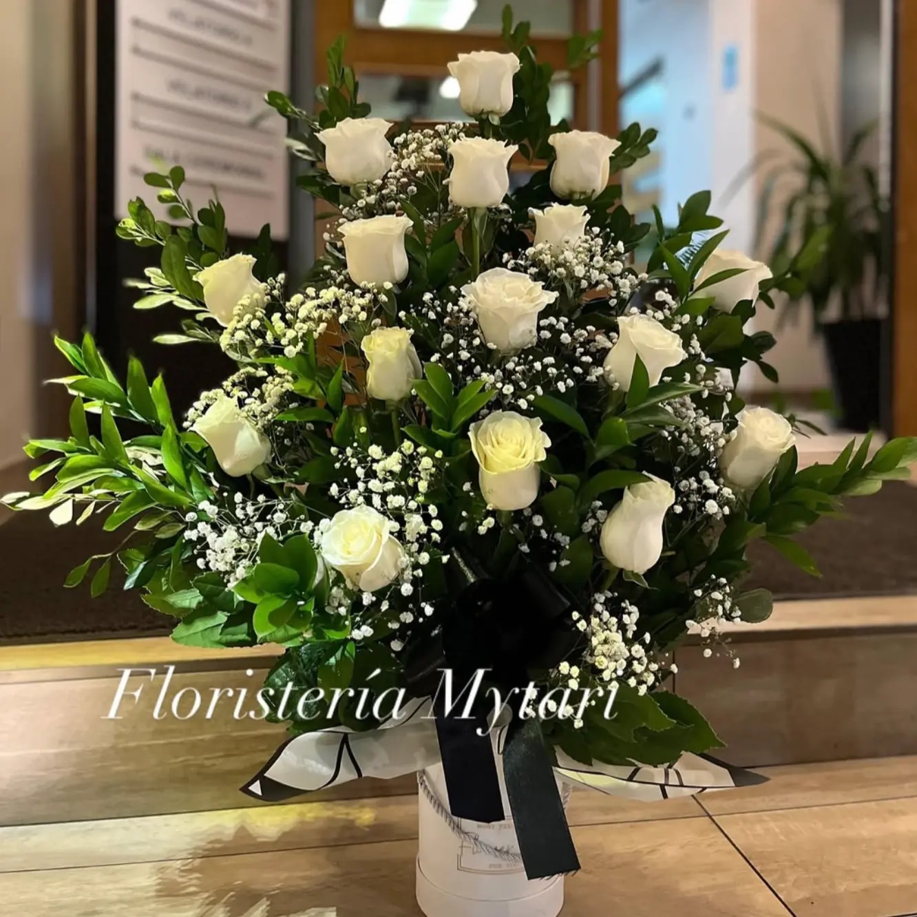 Serenidad Eterna🤍🕊️