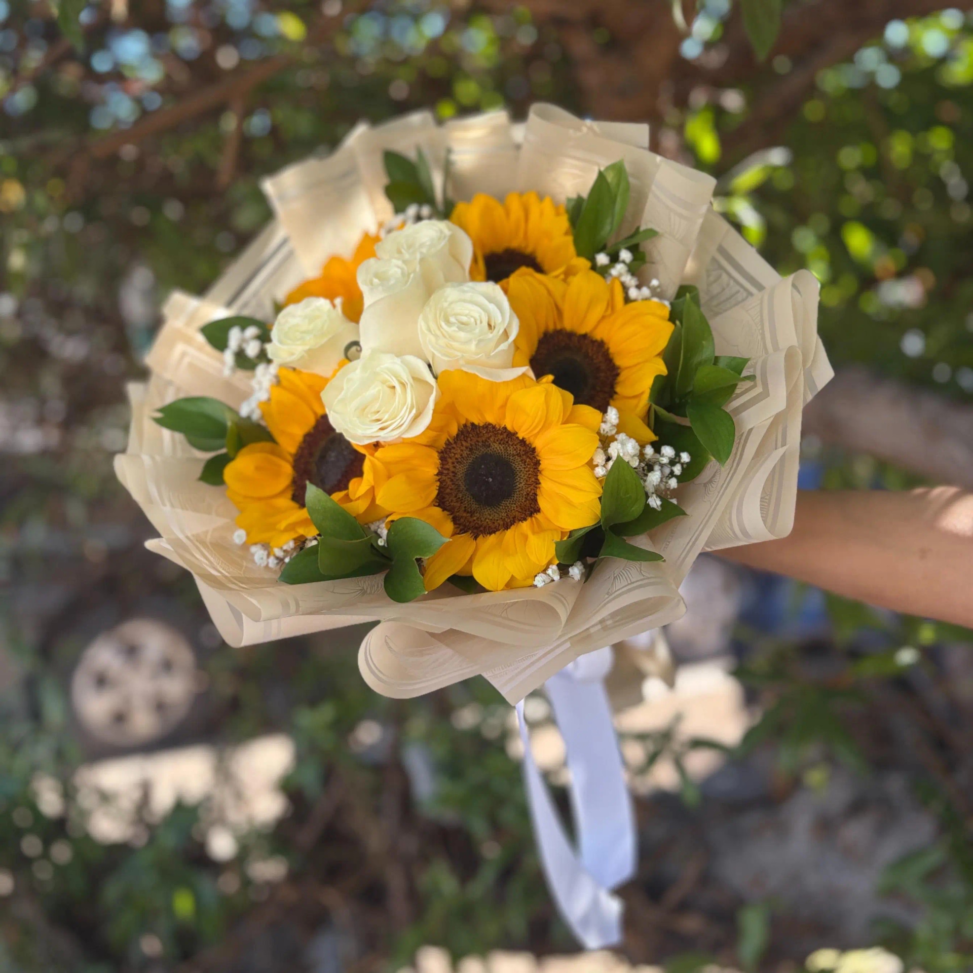 Destellos de alegria🌻