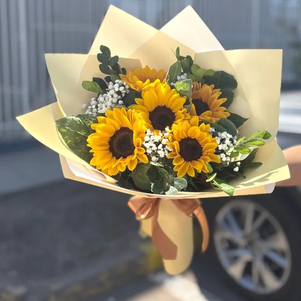 Girasoles 🌻 para mi Sol ☀️