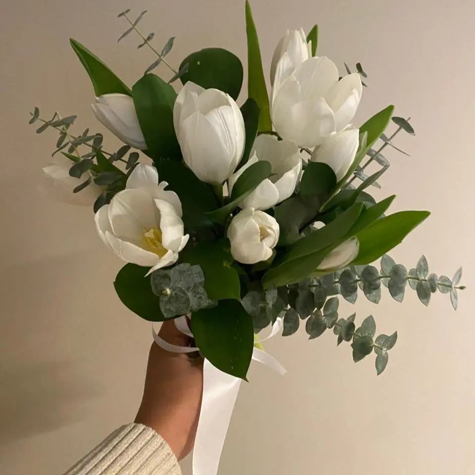 Tulipanes de Amor