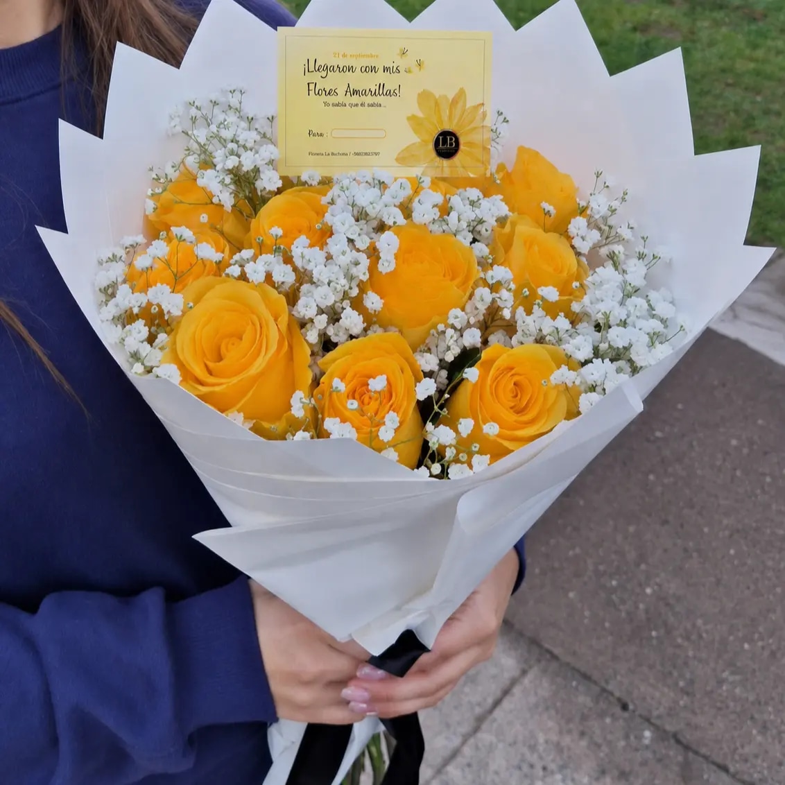 Mi Flor Amarilla 💛 | 12 Rosas Naturales